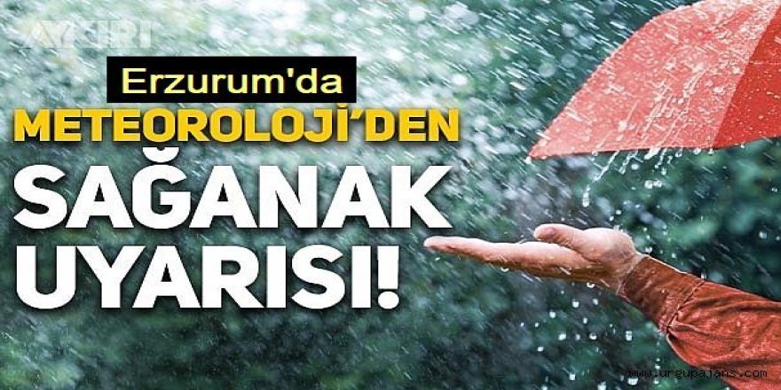 Erzurum ve bölge illeri için yağış uyarısı
