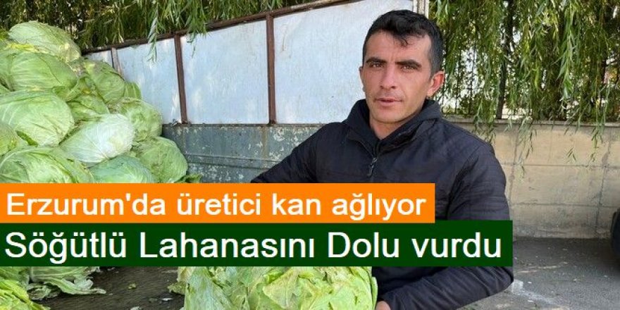 Erzurum'da Söğütlü Lahanasını dolu vurdu