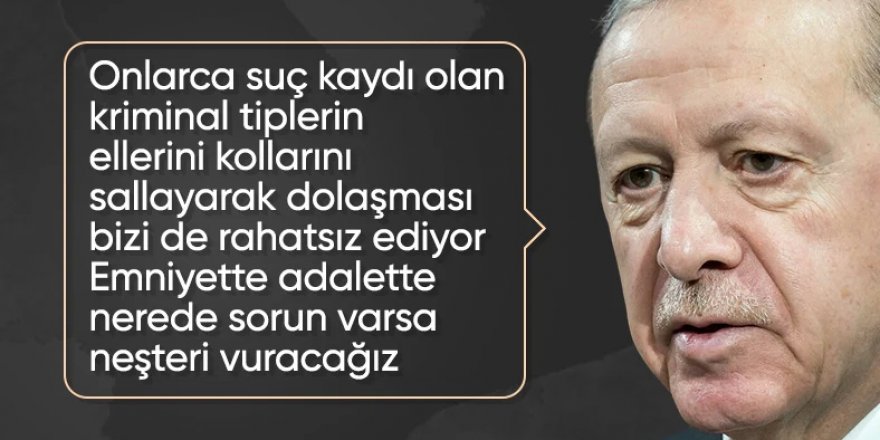 Erdoğan: 6 yıldan az ceza alanların hiç cezaevine girmemesinin önüne geçeceğiz