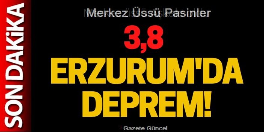 Erzurum 3.8 ile sallandı: Çevre ilçe ve illerde de his edildi