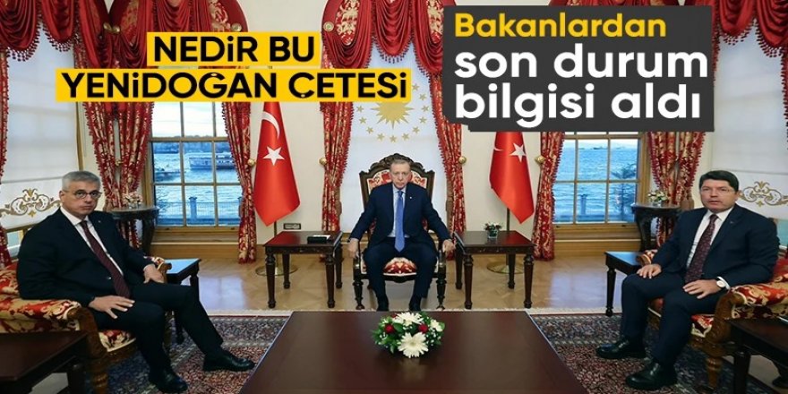 Erdoğan, Adalet ve Sağlık bakanlarını kabul etti