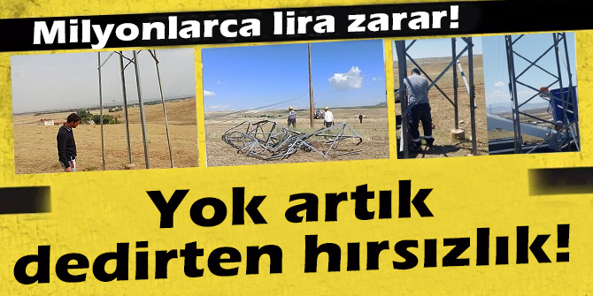 Erzurum'da Yok artık dedirten hırsızlık!