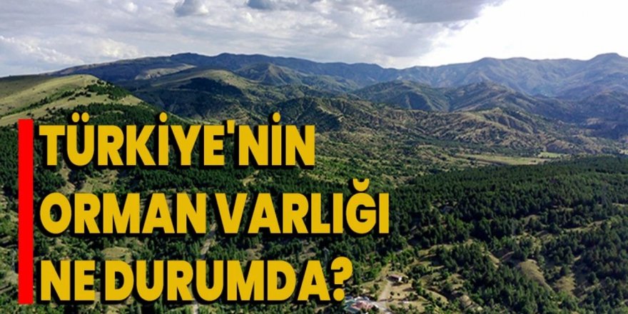 Erzurum'un orman varlığı belirlendi