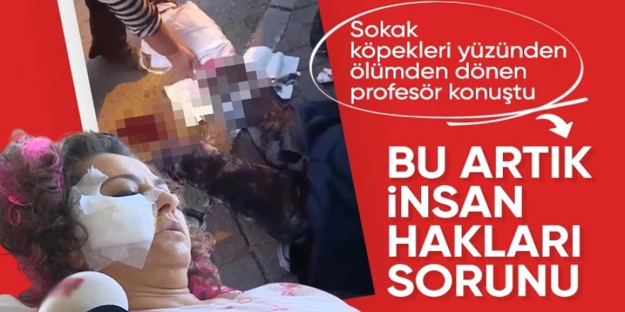 Başıboş köpeklerin saldırısına uğrayan akademisyen: Bu artık insan hakları sorunu