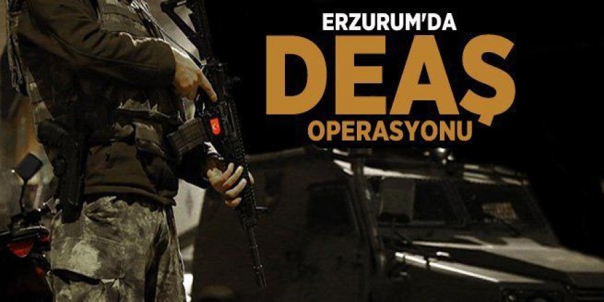 Terör örgütü DEAŞ'a  Erzurum ve 17 ilde operasyon: 54 gözaltı