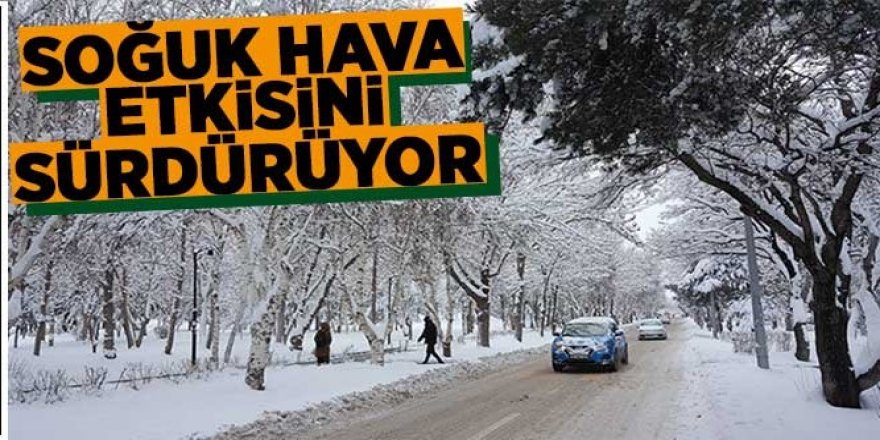 Erzurum’da soğuk hava etkisini sürdürüyor