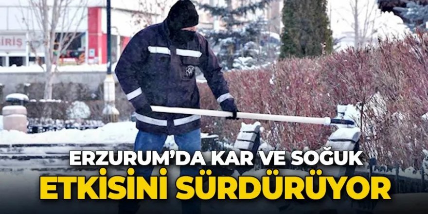 Erzurum’da soğuk hava etkisini sürdürüyor