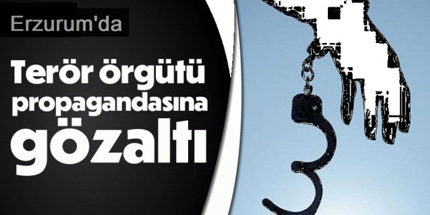 Erzurum'da terör örgütü propagandasına gözaltı: 1 kişi tutuklandı