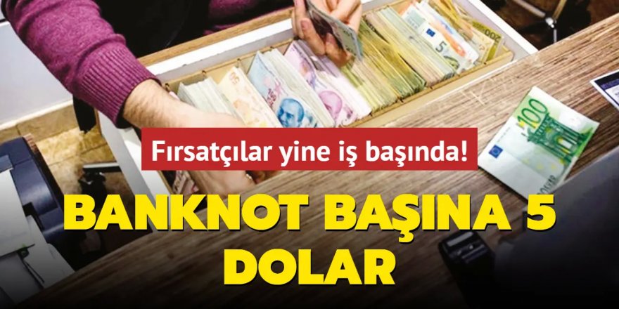 Banknot başına 5 dolar