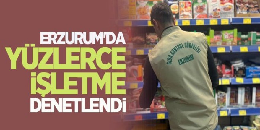 Erzurum'da 376 işletmeye denetim!