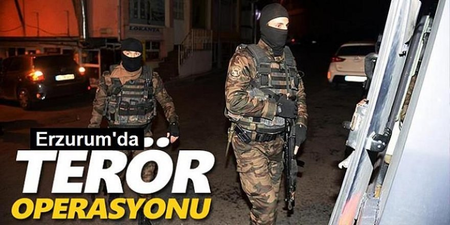 Erzurum ve 29 ilde PKK terör örgütü operasyonu: 147 gözaltı