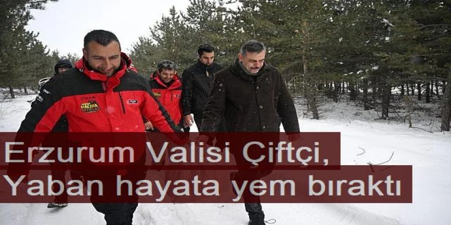 Erzurum Valisi Çiftçi, yaban hayata yem bıraktı