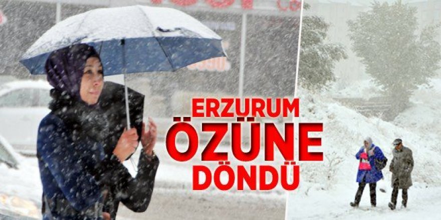 Erzurum’da kar yağışı etkili oldu