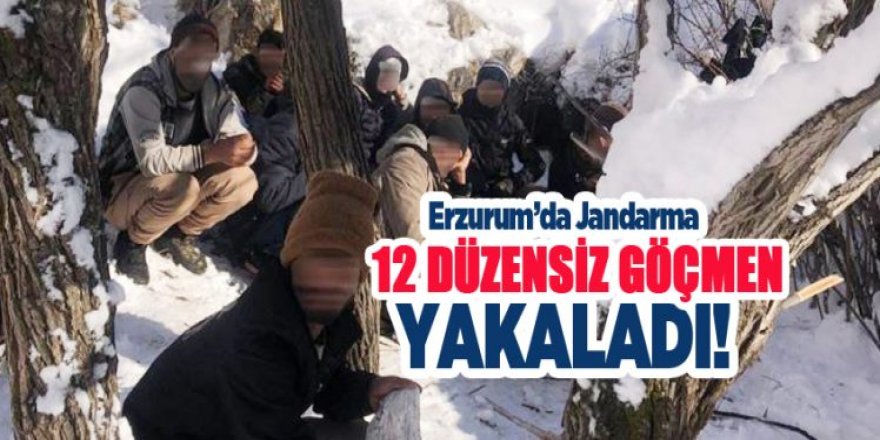 Pasinler'de 12 Düzensiz Göçmen Yakalandı