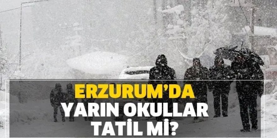 Erzurum'da yarın okullar tatil mi?