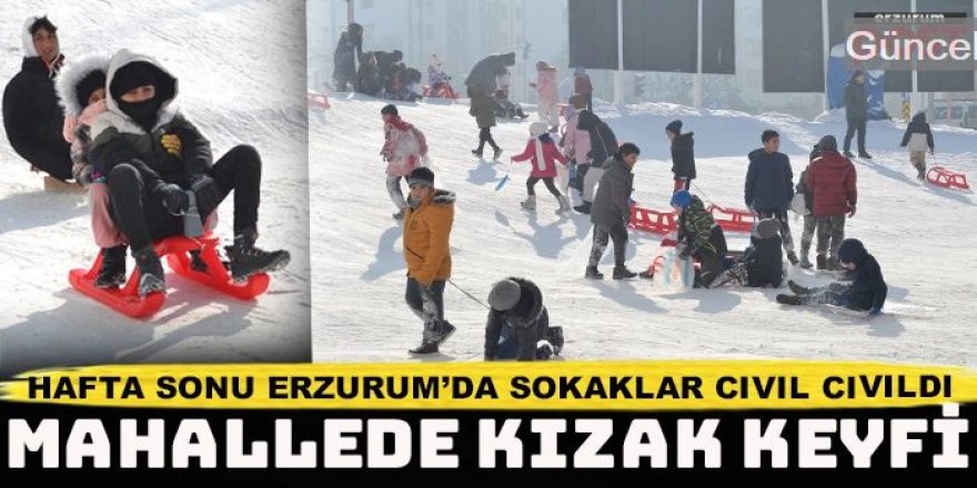 Erzurum'da hafta sonu kızağını alan sokağa çıktı