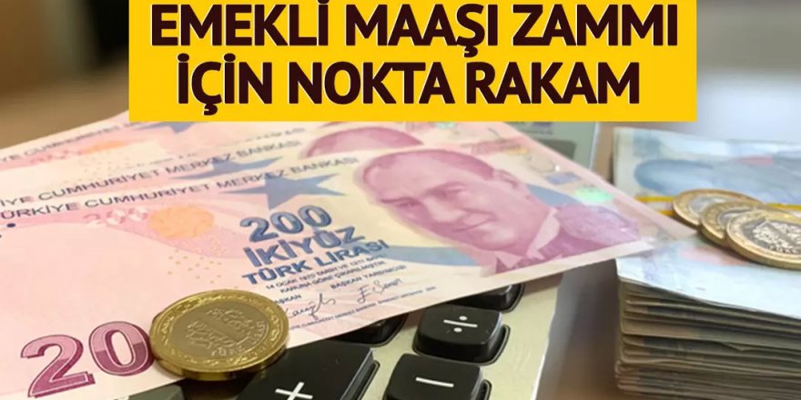 Asgari ücreti bildi, emekli maaşı zammı için nokta rakam verdi!