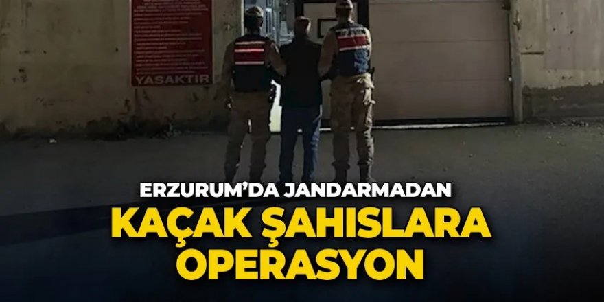 Erzurum'da aranan şahıslara operasyon: 124 zanlı yakalandı