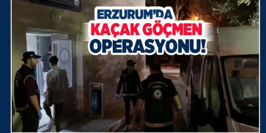 Erzurum'da kaçak göçmen operasyonu: 9 İnsan kaçakcısı yakalandı