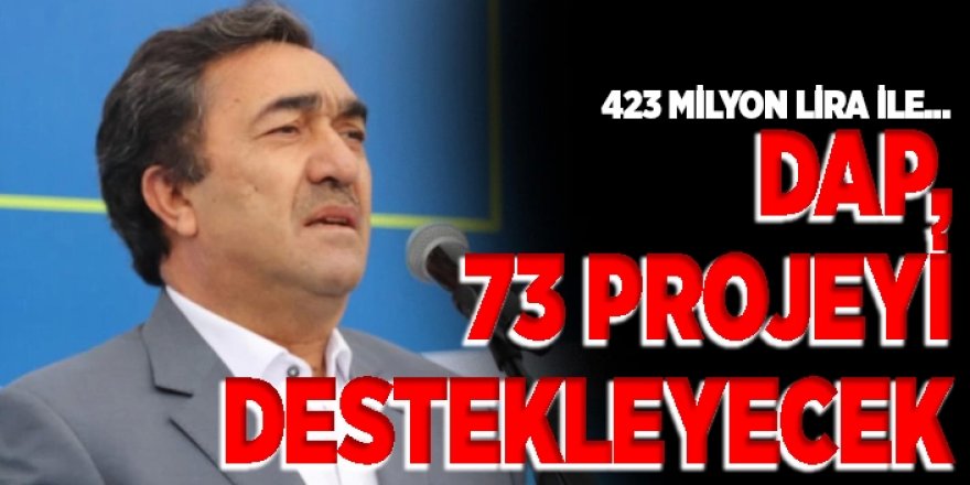 DAP, 2025 yılında 73 projeyi destekleyecek