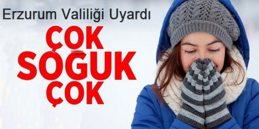 Erzurum için soğuk hava uyarı: 6 ila 12 derece daha düşerek