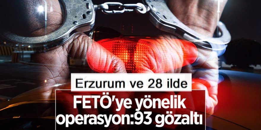 Erzurum ve 28 ilde FETÖ operasyonu: 93 gözaltı