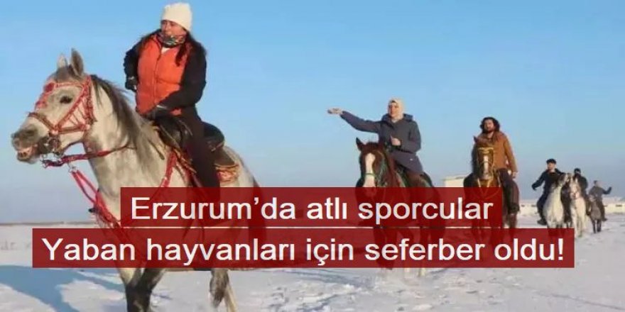 Erzurum’da atlı sporcular yaban hayvanları için seferber oldu!