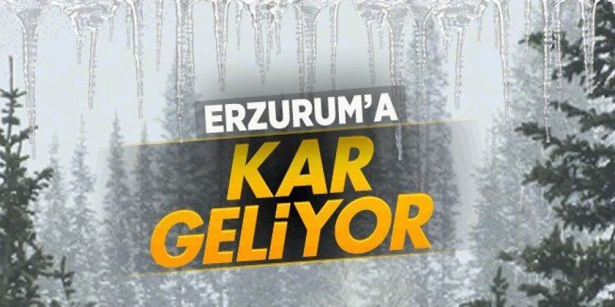 Erzurum'a kar yeniden geliyor: Donacağız