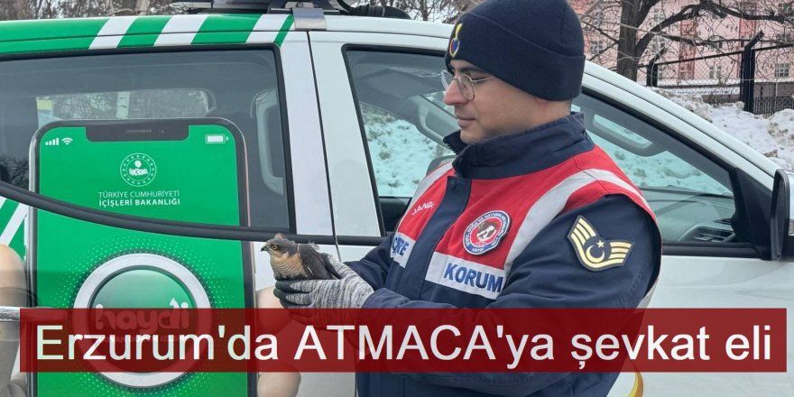 Erzurum'da Jandarmadan Atmaca'ya şevkat eli