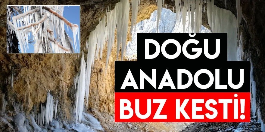 Doğu Anadolu’da Sibirya soğukları hayatı dondurdu