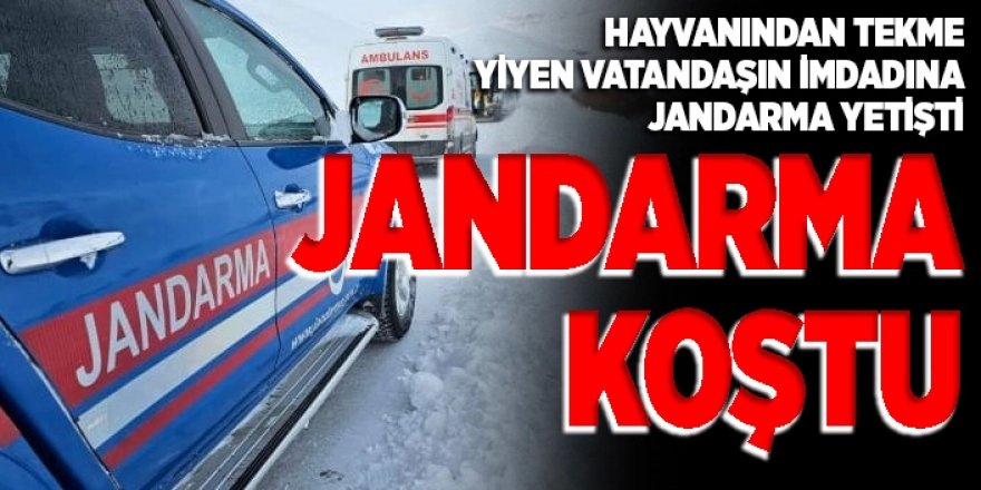 Hınıs'ta Jandarma ve Sağlık Ekiplerinden Koordineli Kurtarma Operasyonu