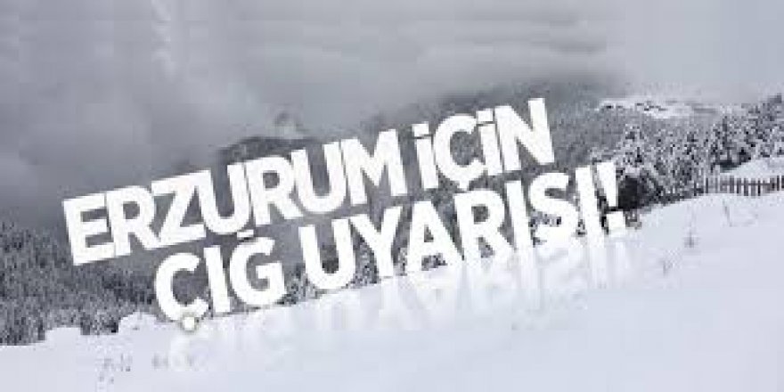 Erzurum'a çığ ve buzlanma uyarısı