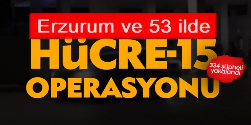 Erzurum ve 53 ilde 'Hücre-15' operasyonları: 334 gözaltı