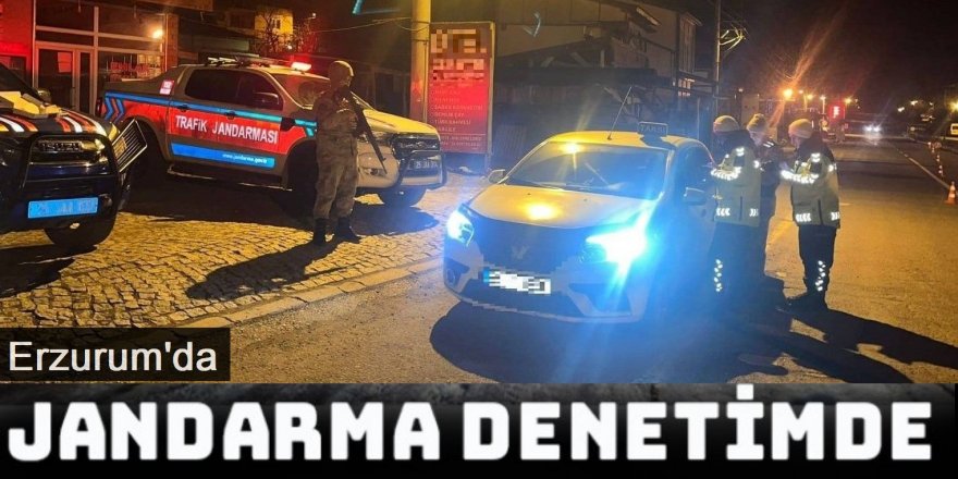 Erzurum'da jandarma ekipleri bir ayda 25 bin araç denetledi