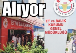 Satılamayan kurbanlıklar EBK'ya!