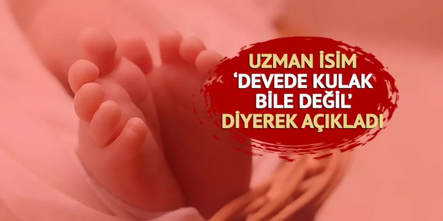 'Yenidoğan skandalı devede kulak bile değil'