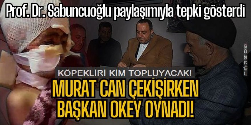 Narman Belediyesine tepki yağıyor: Köpekleri kim toplayacak?