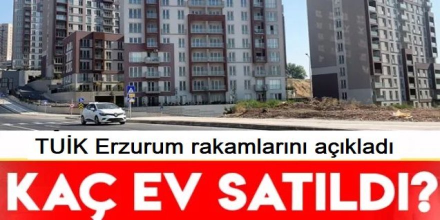 Erzurum'da Şubat ayında kaç konut satıldı