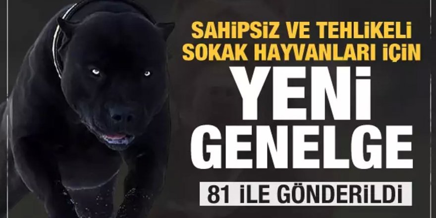 Başıboş köpek sorunu için 39 mülkiye müfettişi ve genelge görevlendirildi