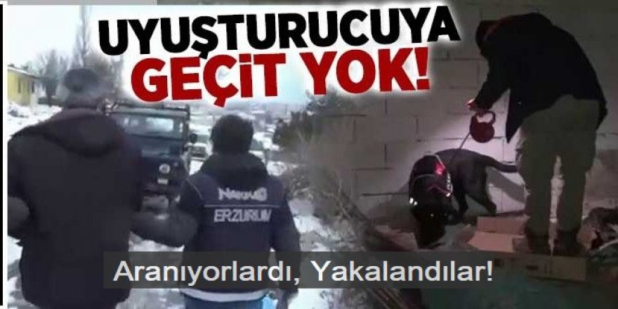 Erzurum'da polis göz açtırmıyor: 5 kişi yakalandı