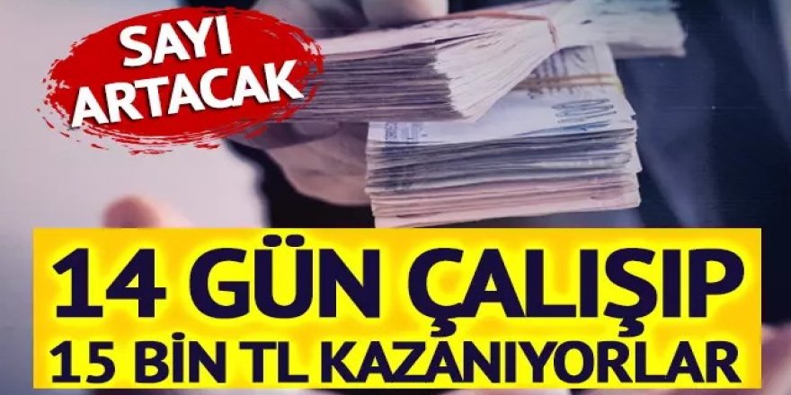 Ayda 14 gün çalışıp 15 bin 162 TL kazanıyorlar!