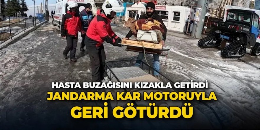 Erzurum'da Hasta buzağısını kızakla getirdi, jandarma kar motoruyla geri götürdü