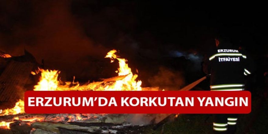 Erzurum'da korkutan yangın