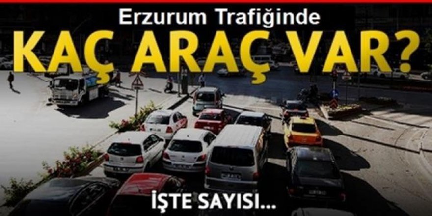 Erzurum'da motorlu araç sayısı belli oldu