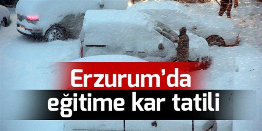 Erzurum'un 2 ilçesinde eğitime kar engeli