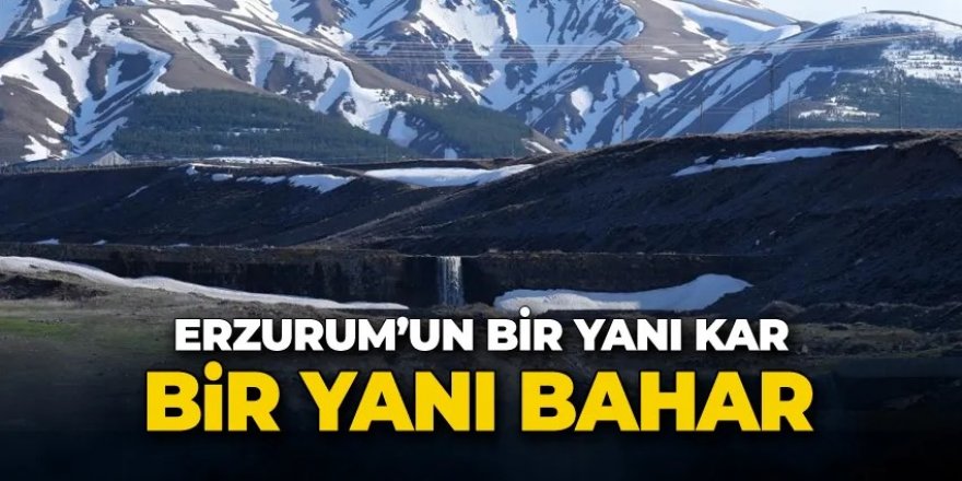 Erzurum'da güneş yüzünü gösterdi