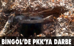 Bingöl'de PKK'ya darbe!