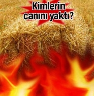 Saman alevi söndü