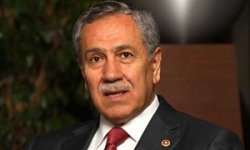 Arınç: O gazeteciler çıkacak