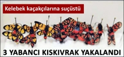 Kaçakçılara suçüstü!